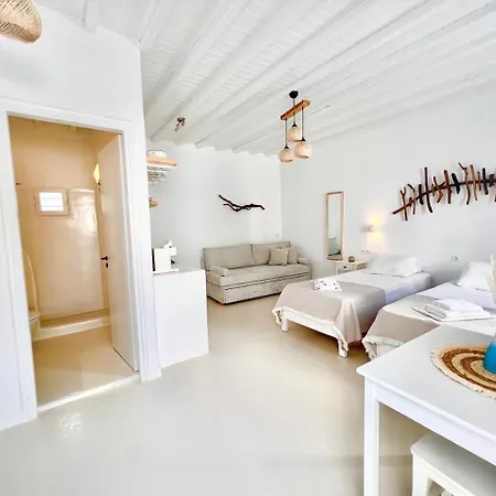 Διαμέρισμα Alkisti Next To The Windmills Of Mykonos *